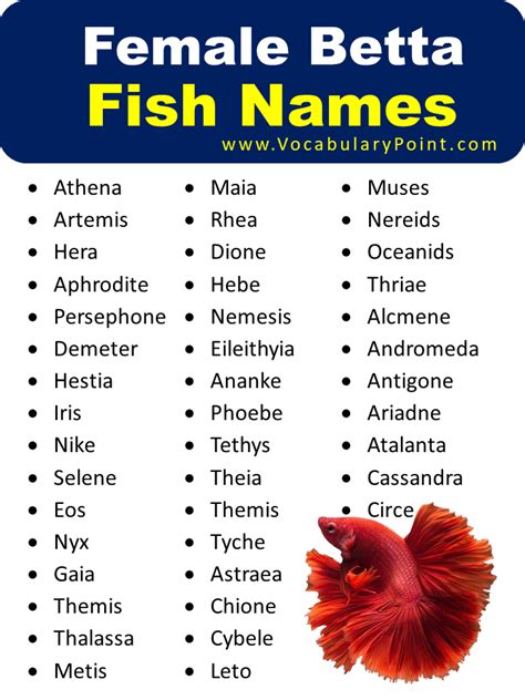 beta fish names|Betta Fish Names 950+ (Unique Betta Names By Color.